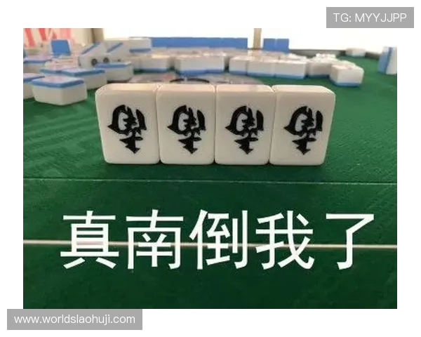 麻将大全电子书详细解析各种麻将规则和技巧，助你在游戏中轻松取胜