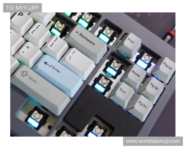 了解ttc键盘官网的品牌历史与企业背景，认识这个值得信赖的专业键盘制造商