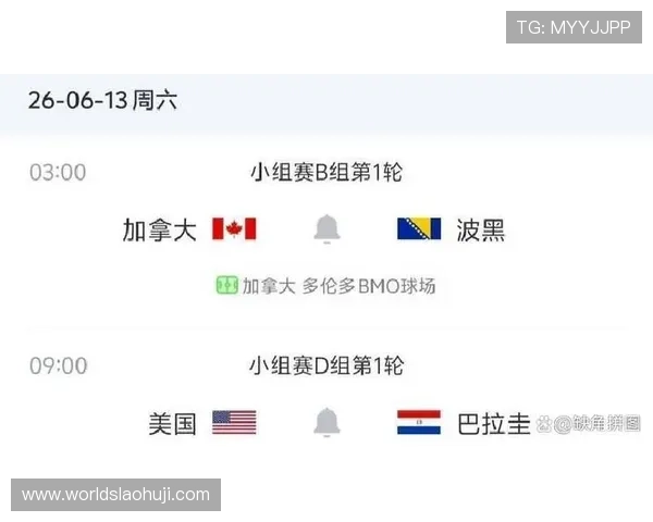 加拿大VS波黑比赛的裁判执法情况及可能影响比赛结果的因素